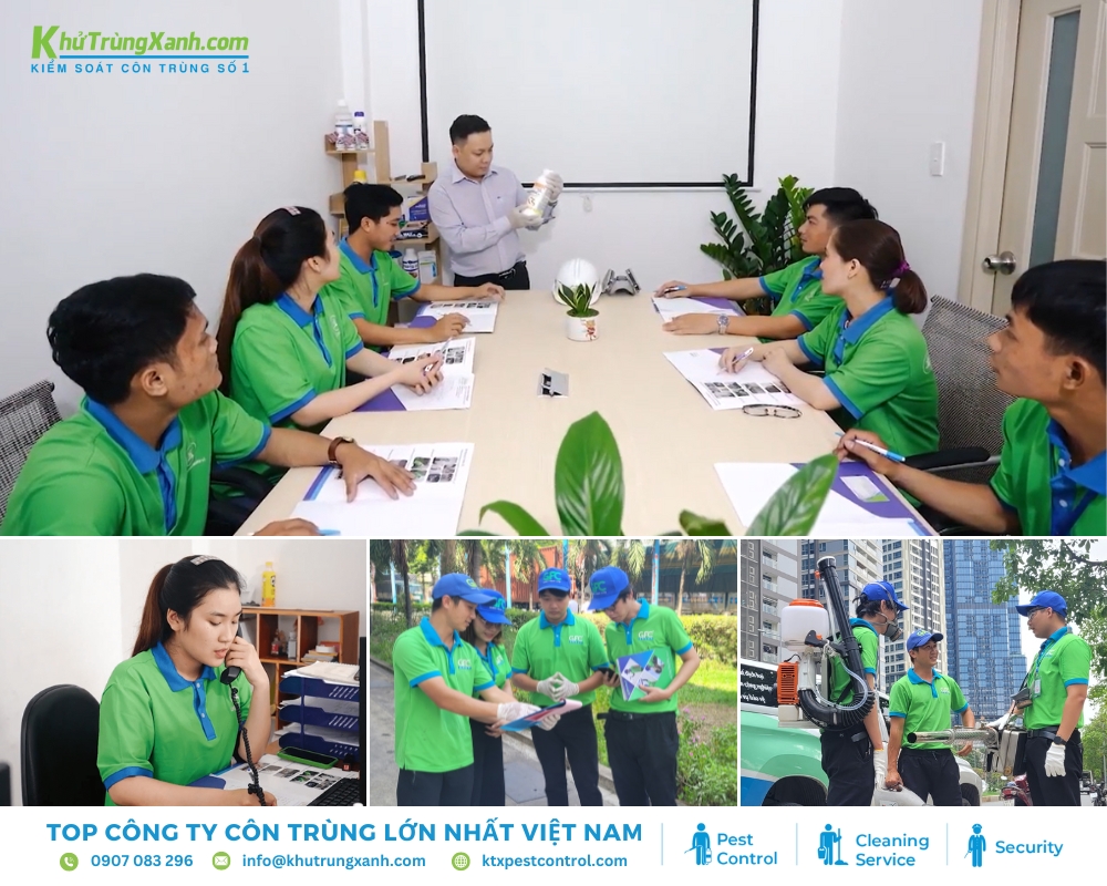 Đội ngũ chuyên viên được đào tạo và cấp chứng chỉ kiểm soát côn trùng uy tín