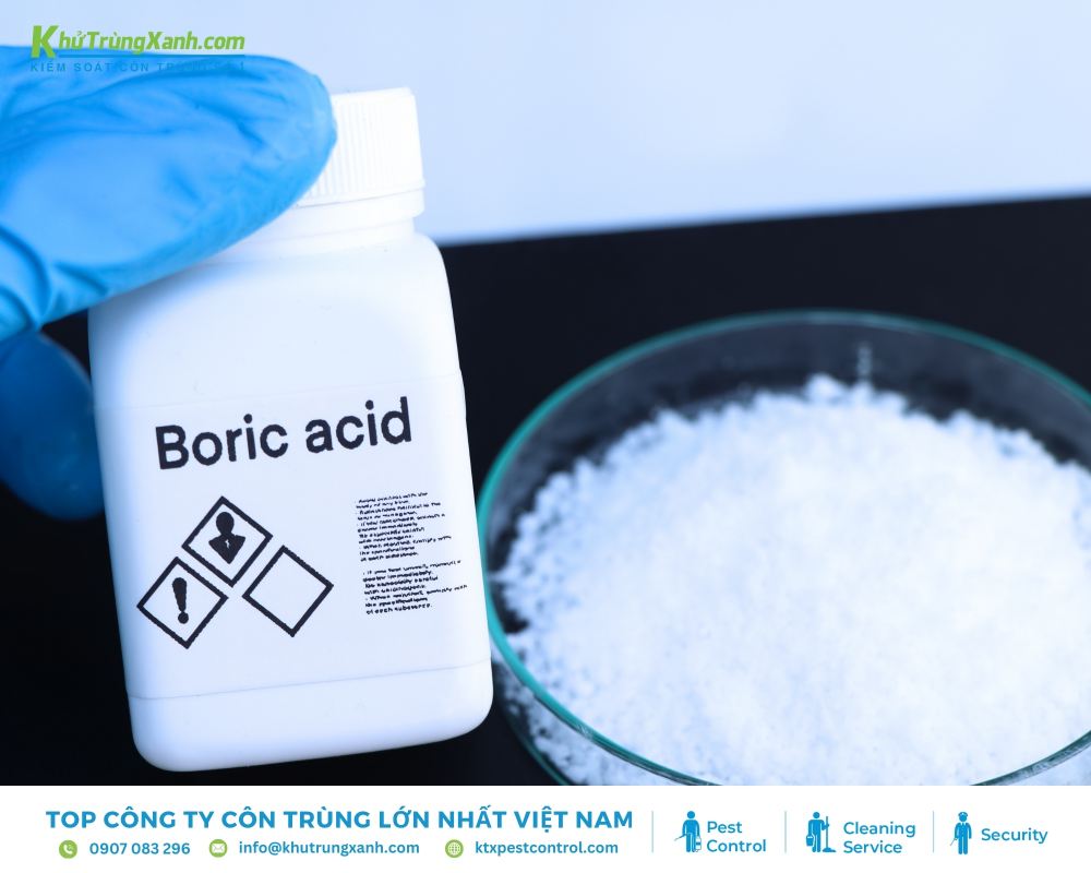 Xua đuổi kiến bằng axit boric cần xa trẻ xem và thú cưng