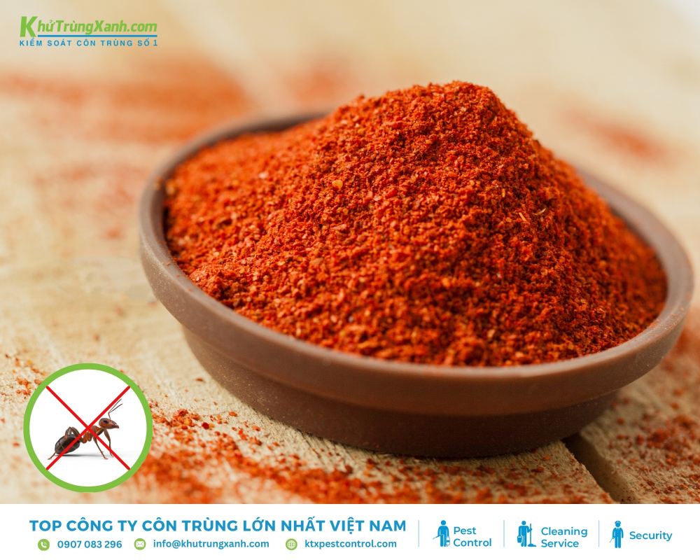 Cách để diệt kiến nhanh chóng bằng ớt Cayenne nhanh