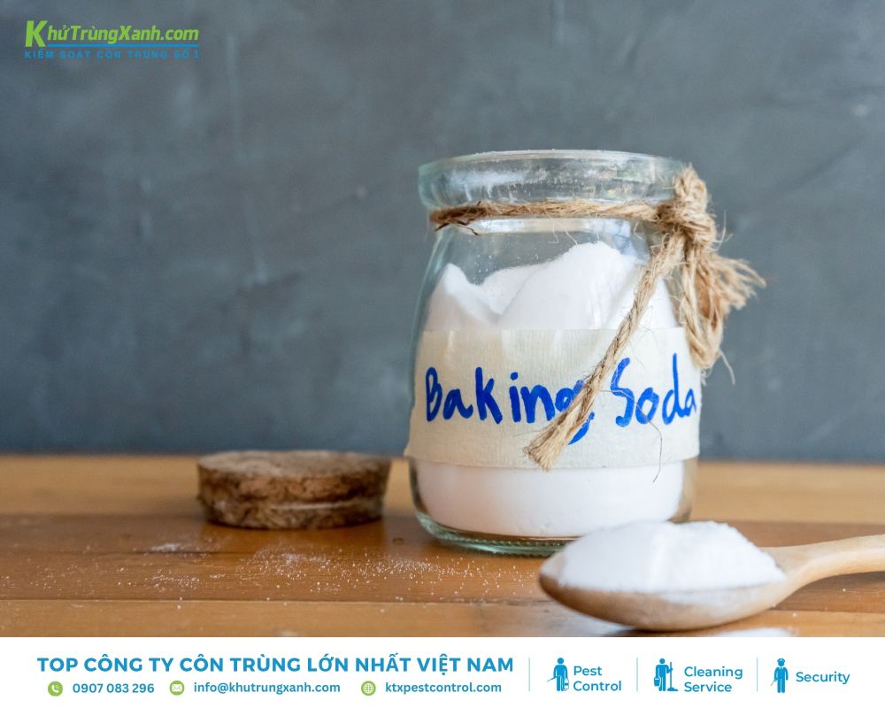Cách đuổi kiến thông qua baking soda và đường hiệu quả