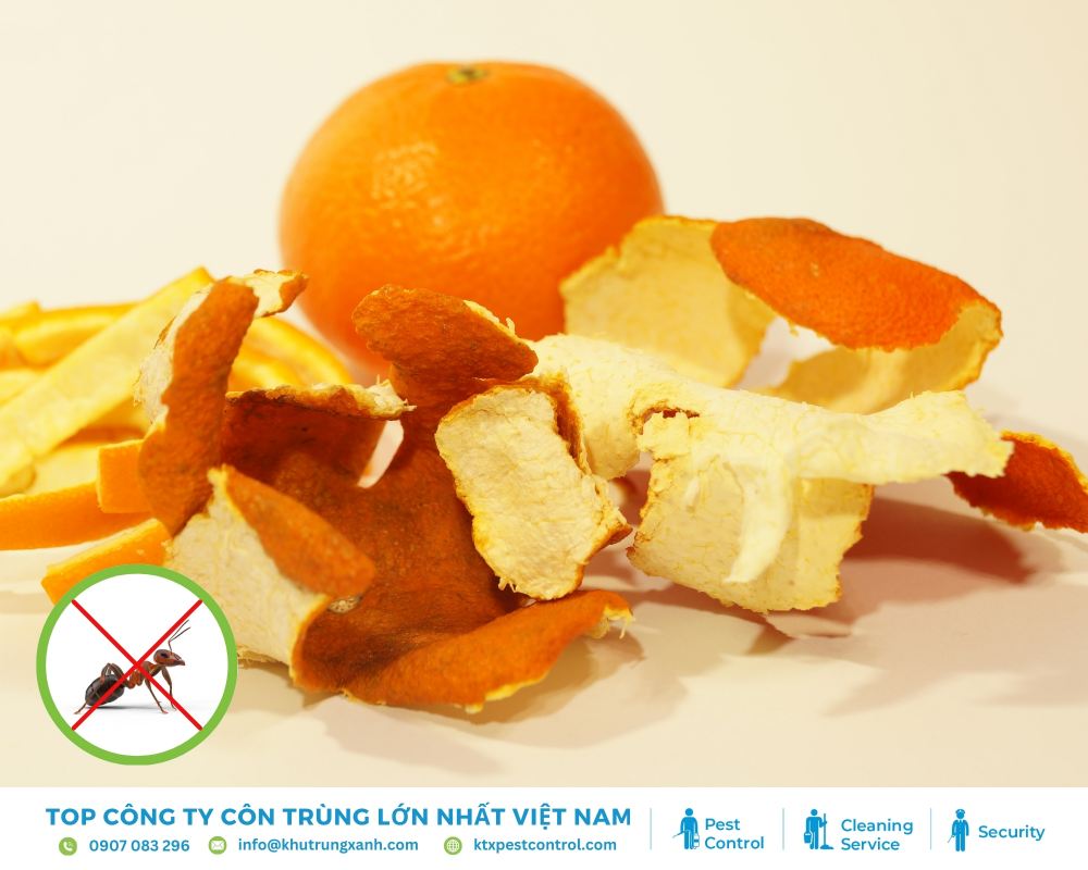 Vỏ cam dùng để đuổi kiến