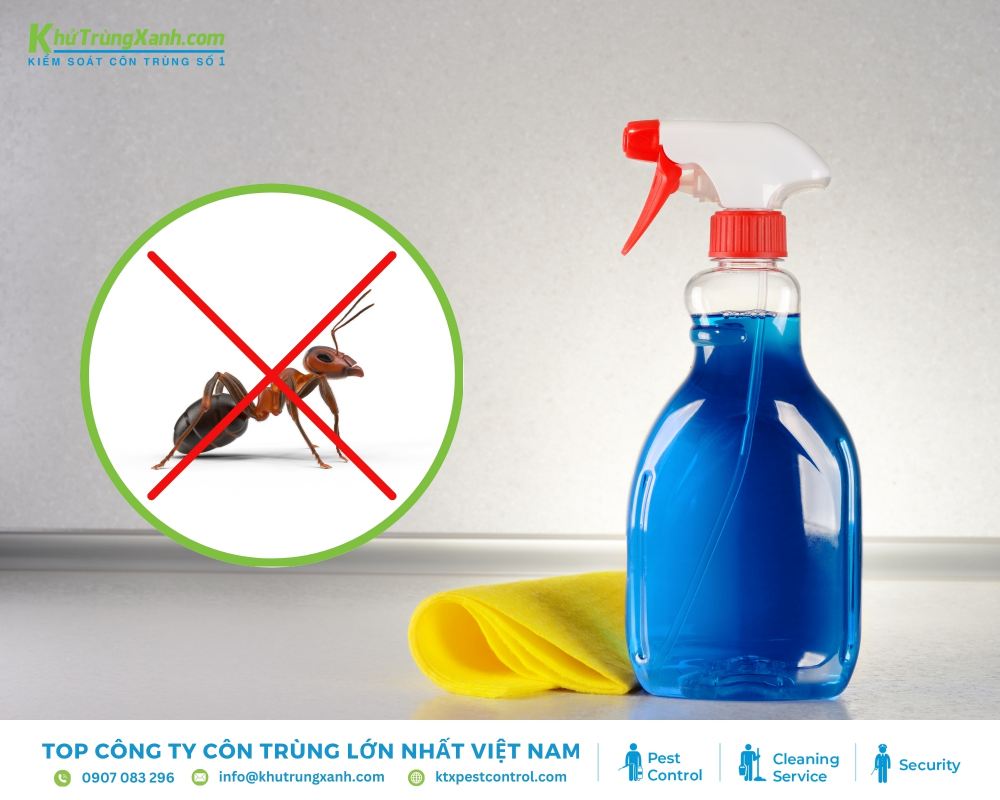 Xà phòng và nước lau kính còn có công dụng để diệt kiến