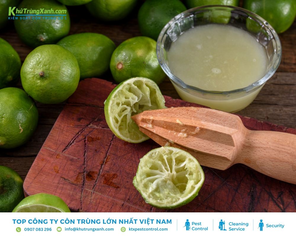 Nước cốt chanh xua đuổi kiến ra khỏi nhà an toàn