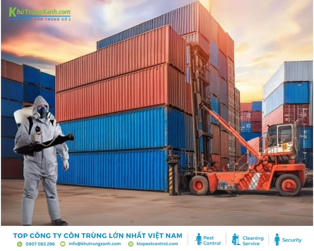 Vai trò của bản xác nhận hun trùng trong giai đoạn xuất nhập khẩu