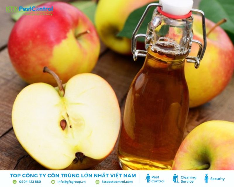 cách diệt bọ chét trong nhà bằng giấm táo
