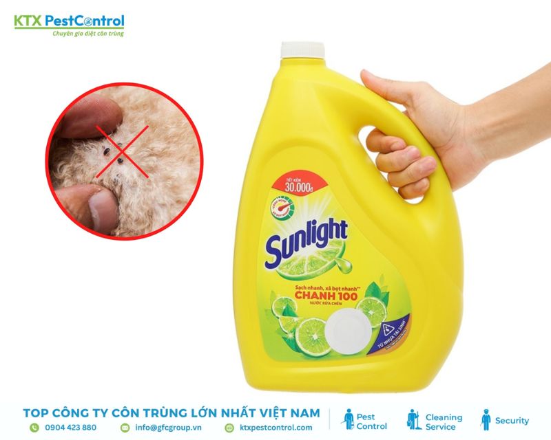 cách diệt bọ chét trong phòng ngủ bằng nước rửa chén.