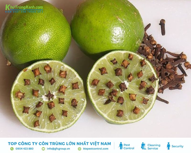 tinh dầu chanh xua đuổi côn trùng