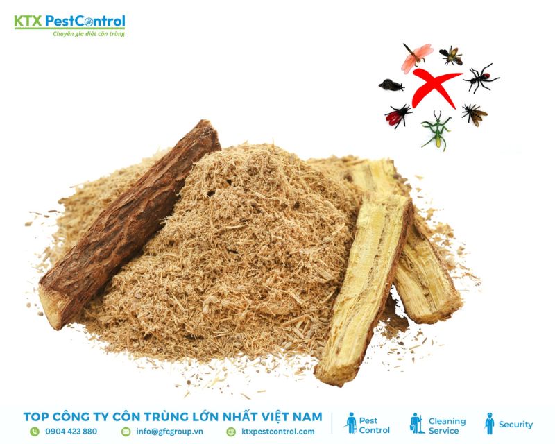 Mùi cam thảo giúp xua đuổi côn trùng