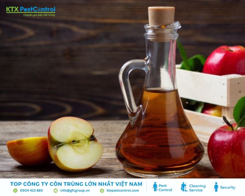 Mùi chua của giấm táo rất khó chịu với nhiều loại côn trùng