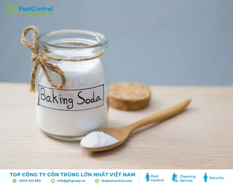  Baking soda và muối đều có khả năng xua đuổi côn trùng
