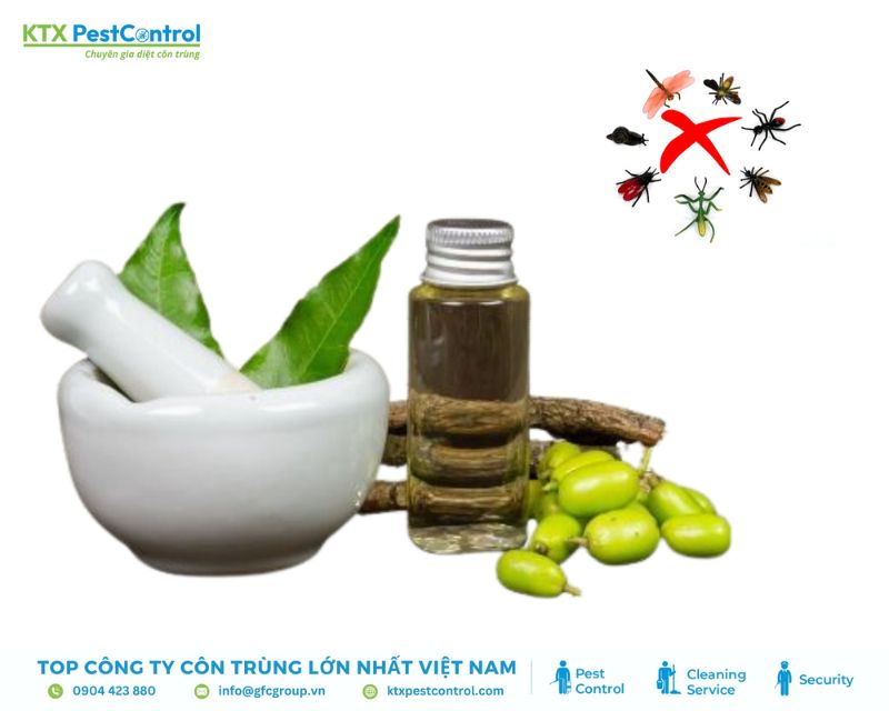 Cách diệt côn trùng bằng tinh dầu neem
