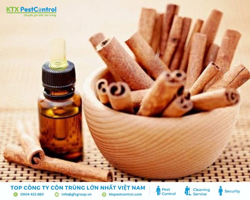 cách diệt côn trùng bằng quế