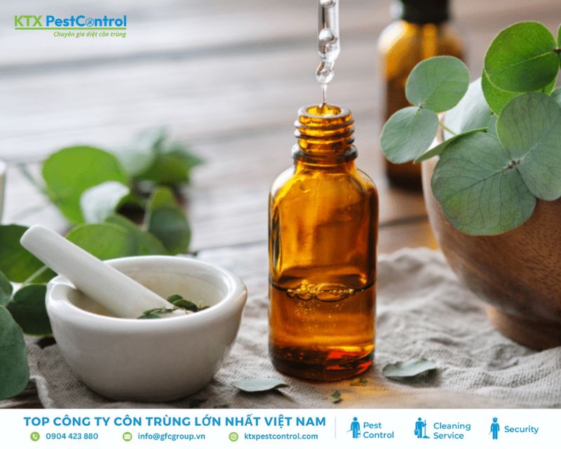 Eucalyptol trong dầu khuynh diệp có tác dụng xua đuổi côn trùng