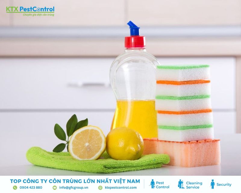 Cách diệt côn trùng bằng nước rửa chén