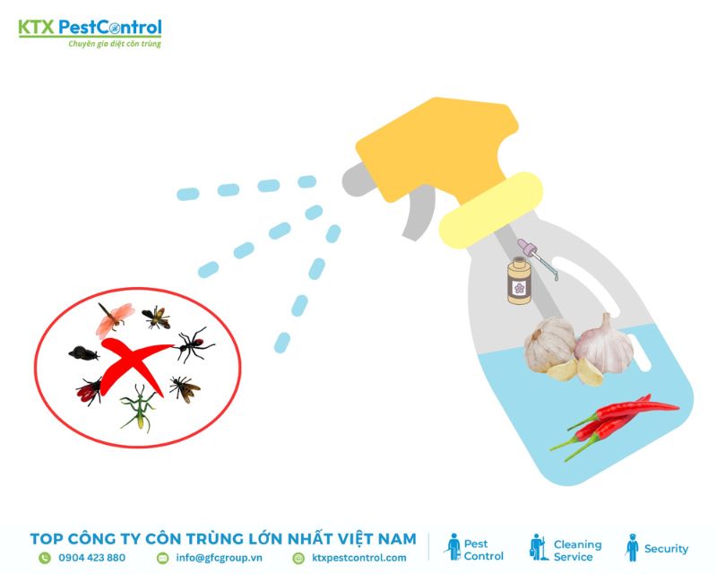 Mùi hăng của tỏi xua đuổi côn trùng