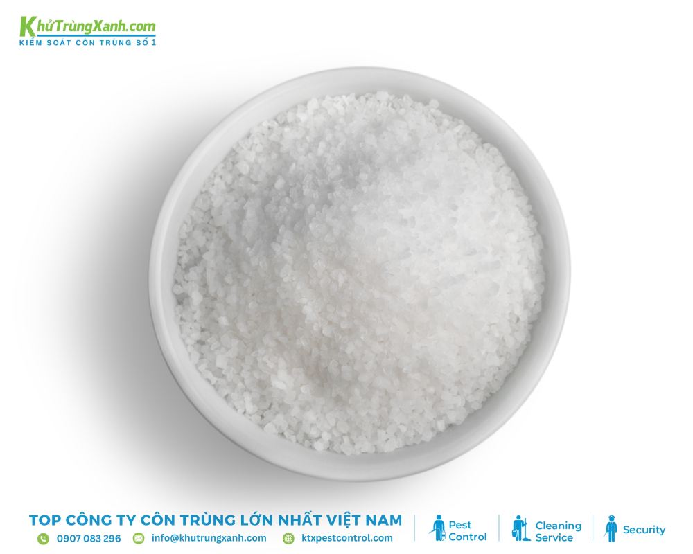 Muối có khả năng làm khô và tiêu diệt các tế bào của kiến ba khoang