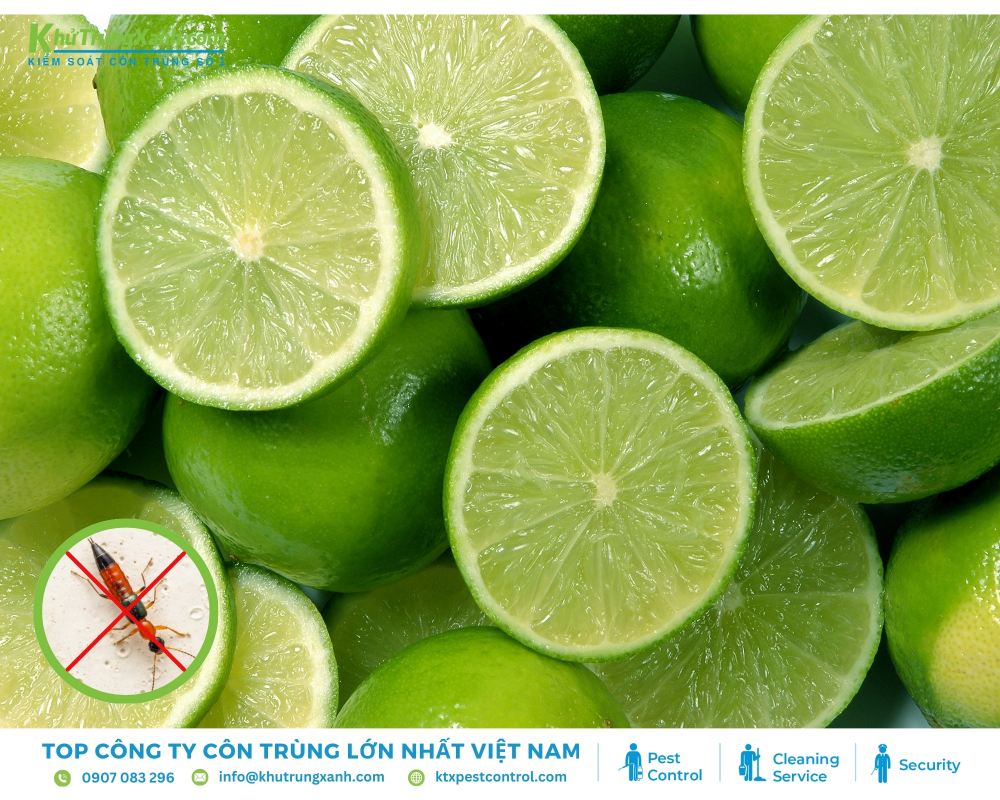 Diệt kiến ba khoang bằng nước chanh hiệu quả