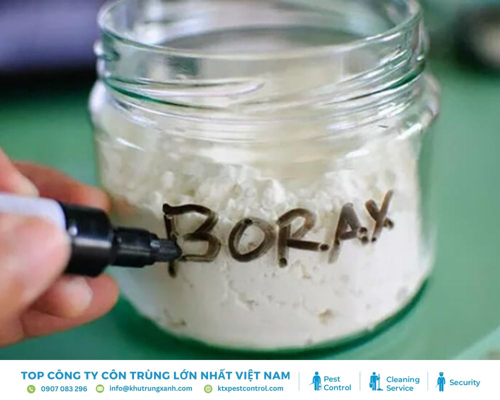 Cách diệt kiến ba khoang bằng bột borax