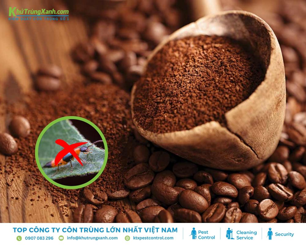 Bột cà phê có mùi hương khá nồng và đặc trưng, đây là mùi hương mà kiến ba khoang rất sợ và tránh xa
