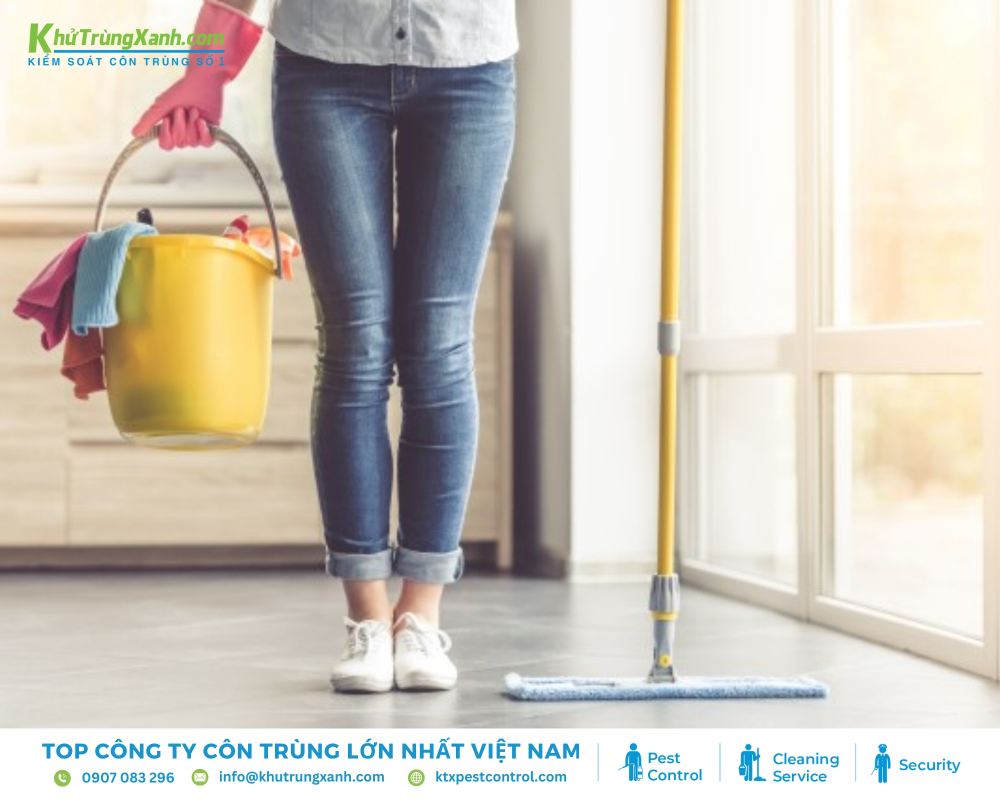 Môi trường ẩm ướt tạo điều kiện thuận lợi cho kiến ba khoang sinh sôi và phát triển