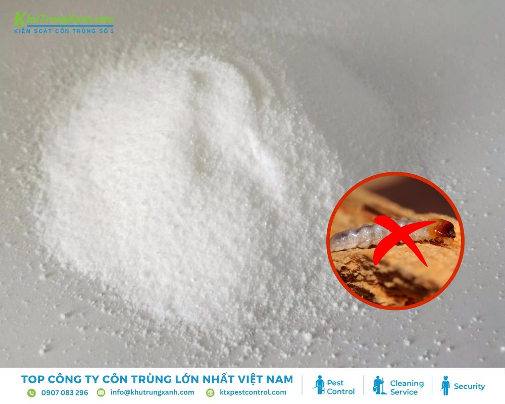 Hàn the có thể tồn tại trong gỗ trong thời gian dài, ngăn ngừa mọt quay trở lại