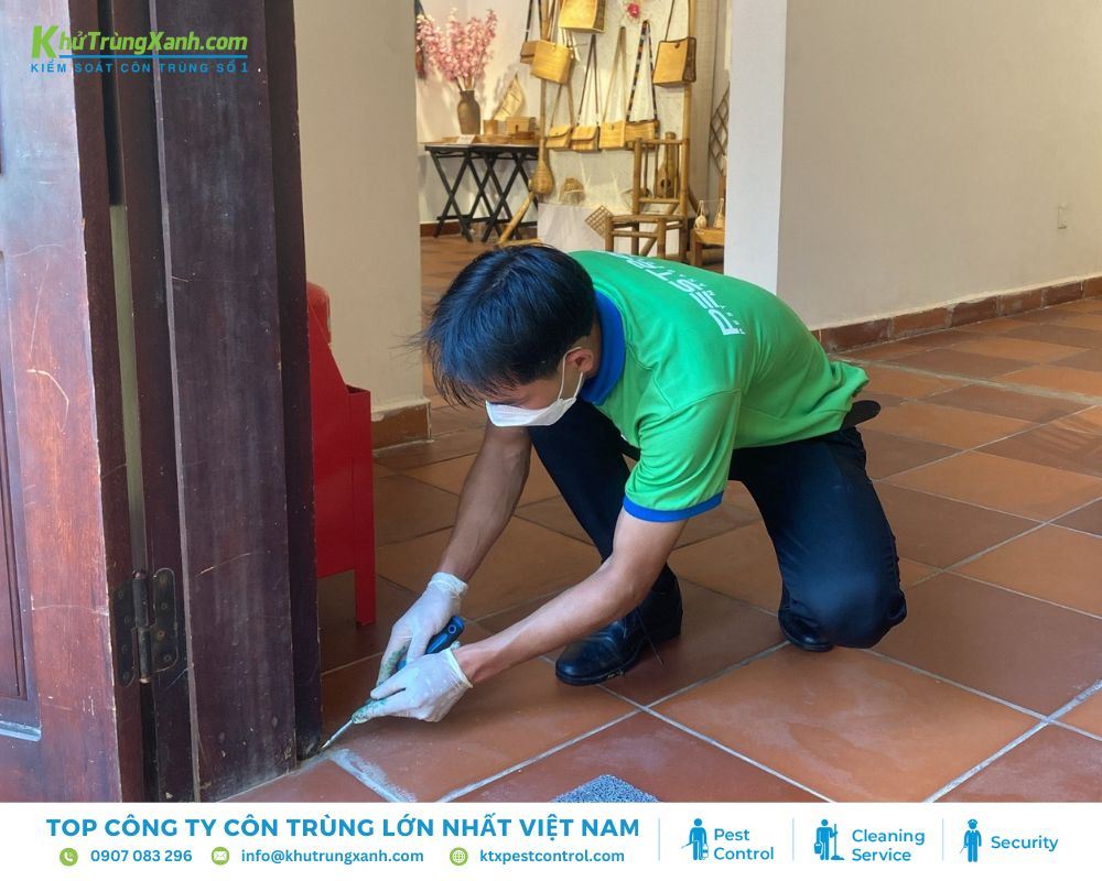 Diệt côn trùng KTX cung cấp dịch vụ diệt mọt gỗ chuyên nghiệp, hiệu quả, giúp bạn bảo vệ ngôi nhà của mình