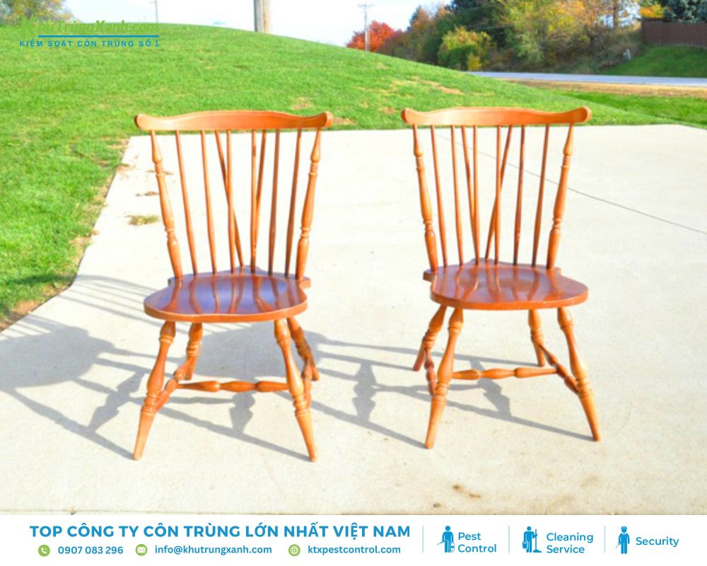 Sau khi phơi nắng, kiểm tra kỹ lại đồ gỗ để đảm bảo đã diệt hết mọt