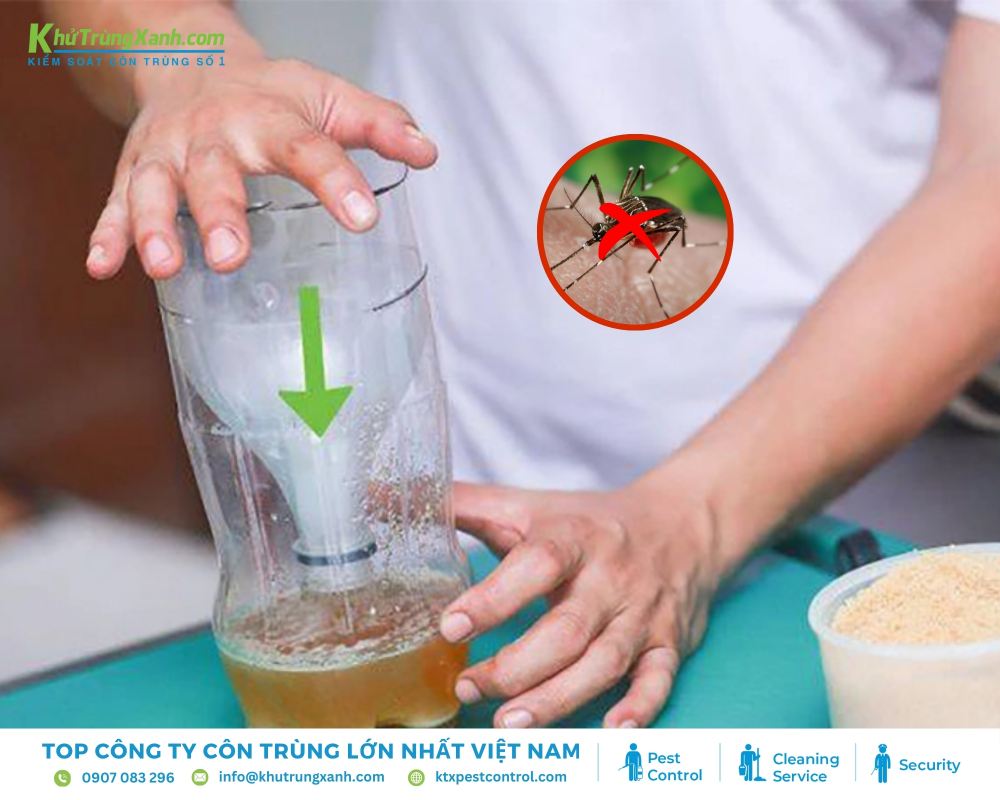 Muỗi bị thu hút bởi mùi men bia ngọt ngào, chúng sẽ bay đến và bị mắc kẹt trong bẫy