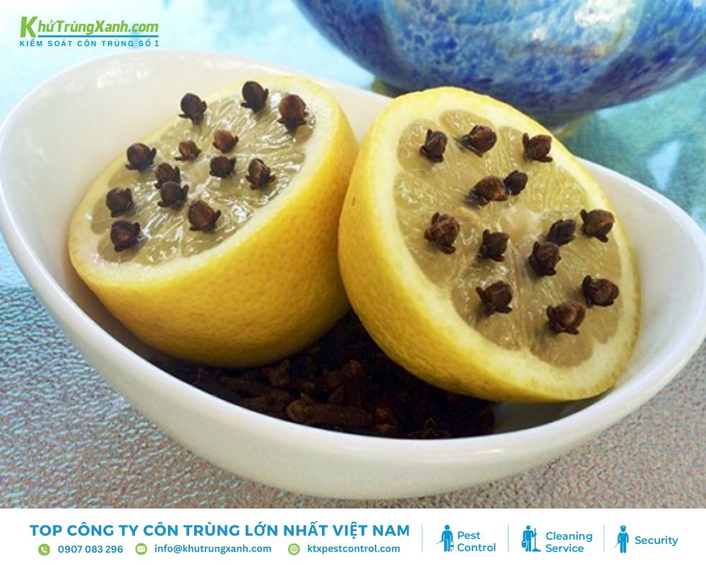 Đặt chanh và hoa đinh hương khô ở các góc phòng hoặc treo ở những nơi bạn thường ngồi