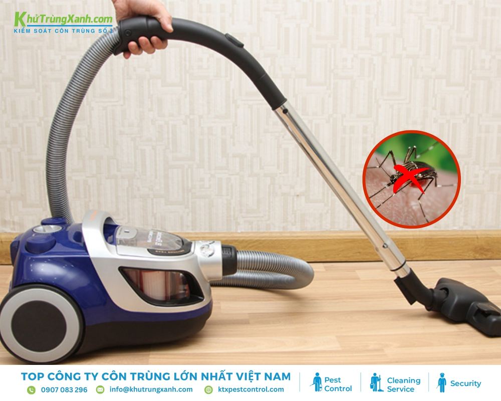 Lực hút mạnh từ máy hút bụi có thể dễ dàng tiêu diệt muỗi, đặc biệt khi chúng ẩn náu trong các góc tối 
