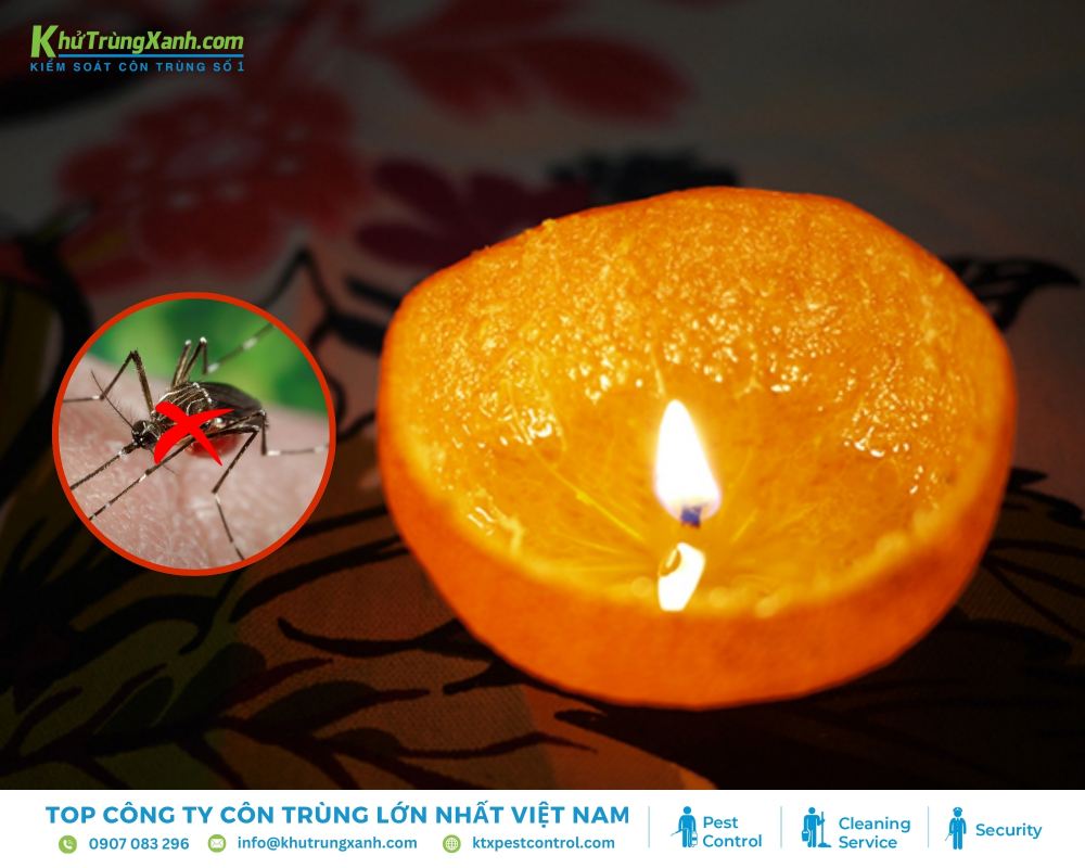 Khi đốt nến, hương thơm sẽ lan tỏa tạo ra một lớp màng bảo vệ tự nhiên, giúp xua đuổi muỗi 
