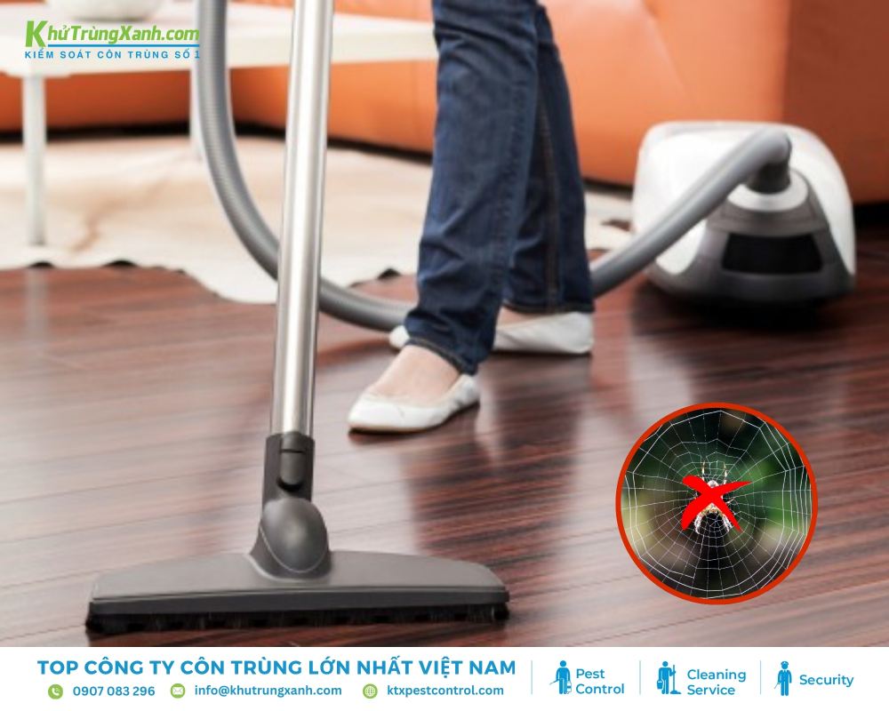 Chọn loại máy hút bụi có đầu hút nhỏ và lực hút mạnh để dễ dàng tiếp cận các góc cạnh và hút sạch mạng nhện