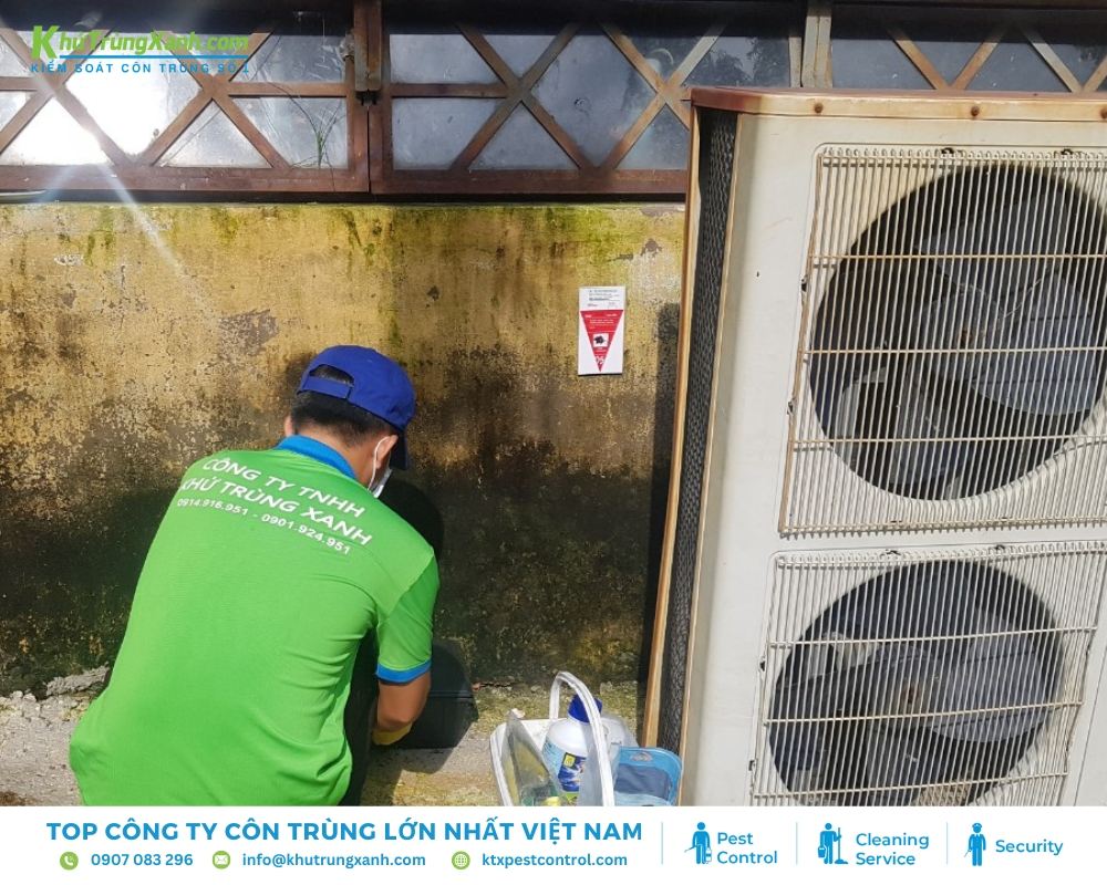 Vệ sinh điều hòa định kỳ để không tạo môi trường sống cho chuột