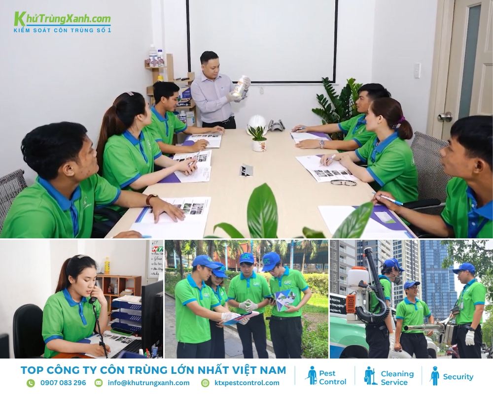 Diệt Côn Trùng KTX có hơn 25 năm kinh nghiệm loại bỏ chuột hiệu quả cao