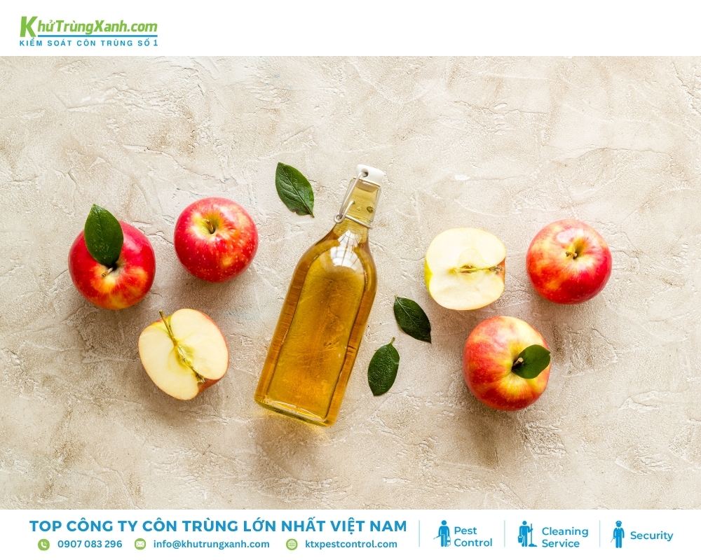 Pha giấm táo cùng xà phòng để tạo bẫy ruồi hữu hiệu