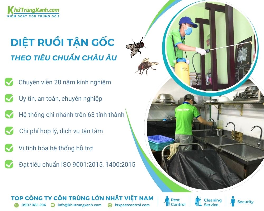Kết hợp nhiều mẹo diệt ruồi khác nhau để có kết quả như mong đợi