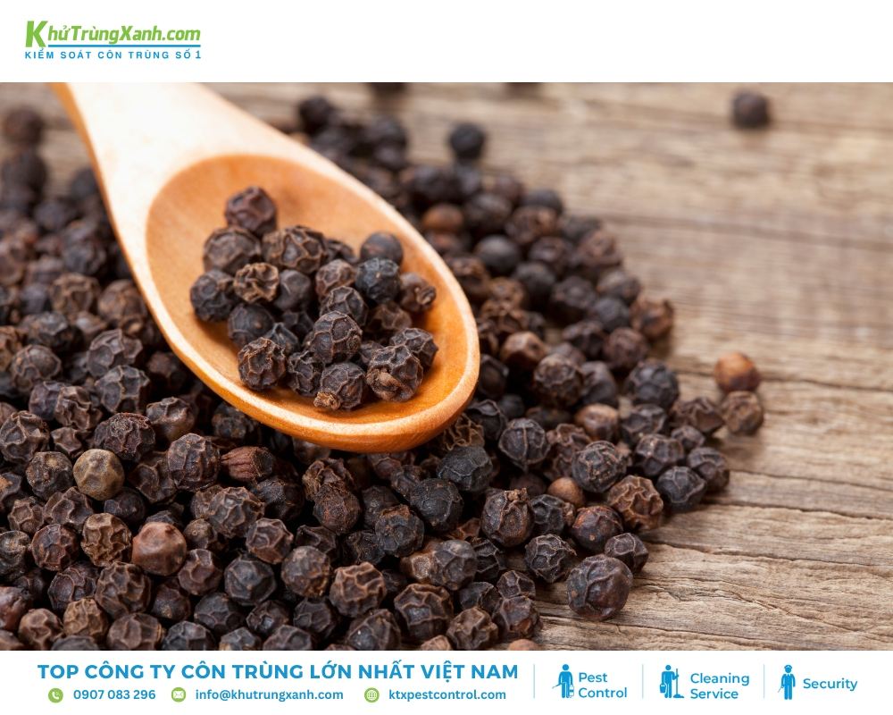 Tiêu đen có mùi hương cay nồng giúp đuổi ruồi hiệu quả