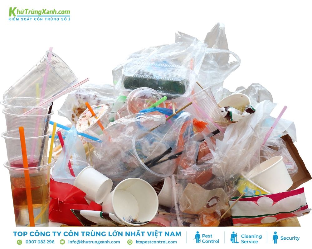 Rác thải sinh hoạt tạo điều kiện cho ruồi sinh sống & phát triển