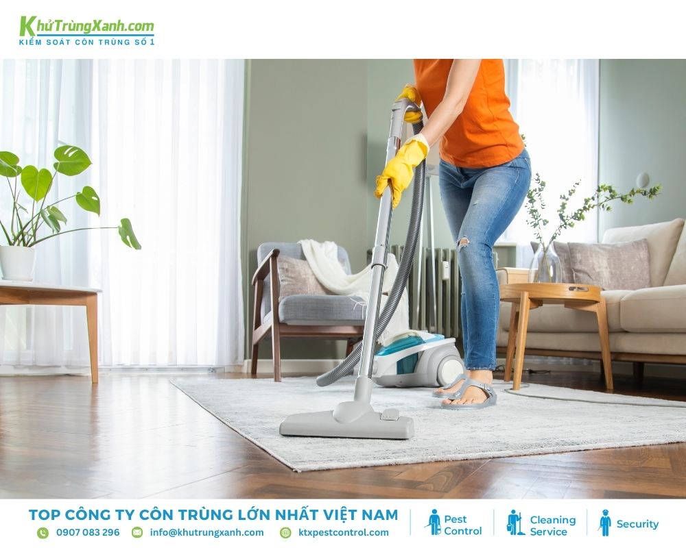 Vệ sinh nhà cửa là cách tốt nhất để ngăn chặn ruồi tái phát