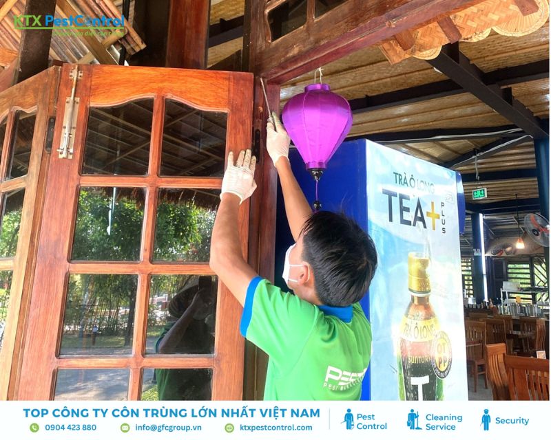 dịch vụ diệt mối kiểm tra và xử lý mối tại nhà ở Hải Dương