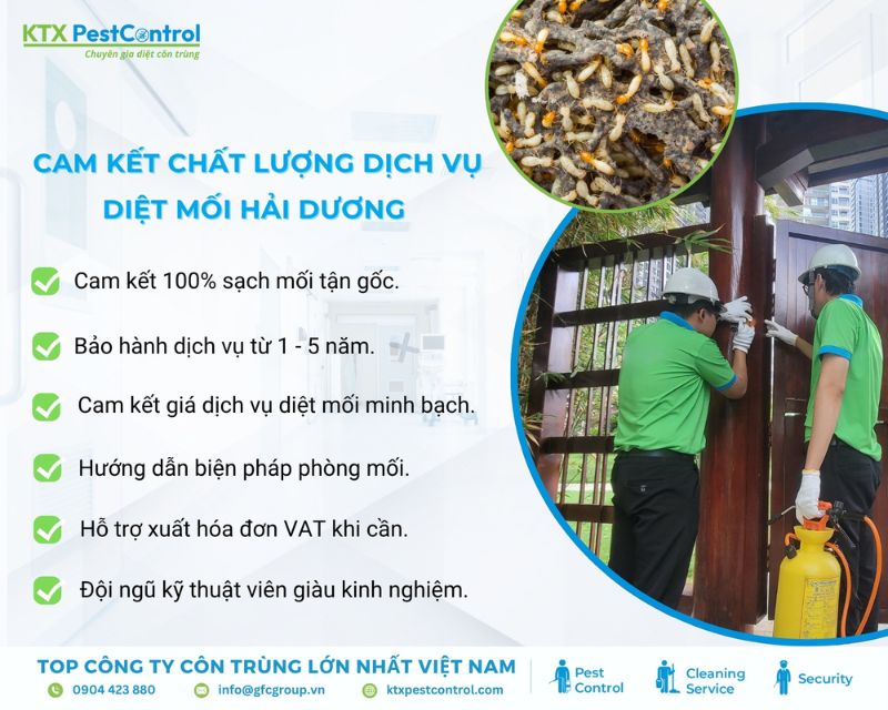 KTX cam kết dịch vụ diệt mối Hải Dương uy tín, chuyên nghiệp và được khách hàng tin chọn