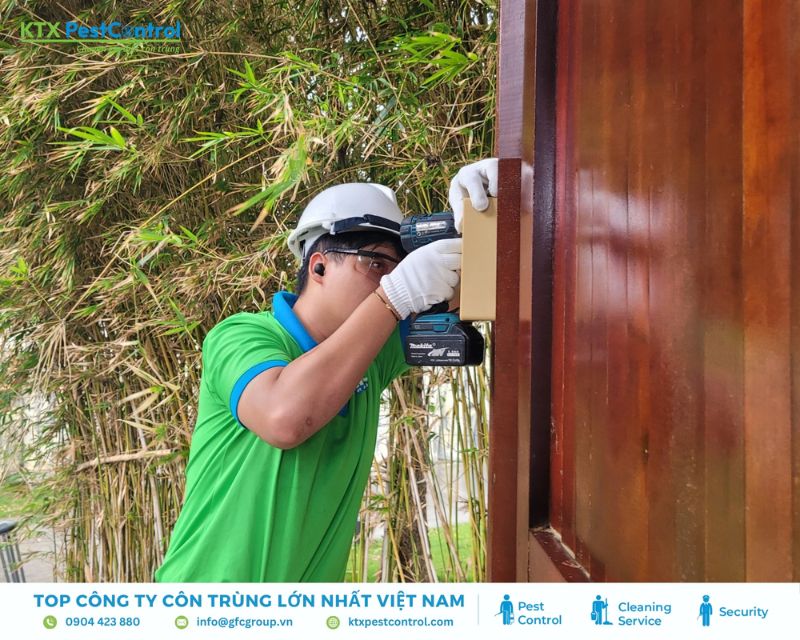 Kỹ thuật viên đang đặt hộp nhử mối tại khung cửa gỗ
