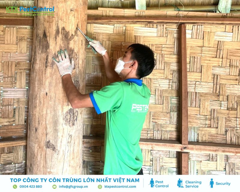 Kỹ thuật viên dịch vụ diệt mối Hải Dương đang xử lý tổ mối