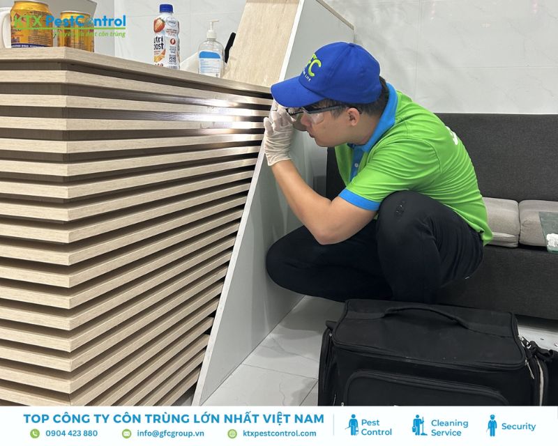 Kỹ thuật viên dịch vụ diệt mối Hải Dương đang đặt hộp nhử mối