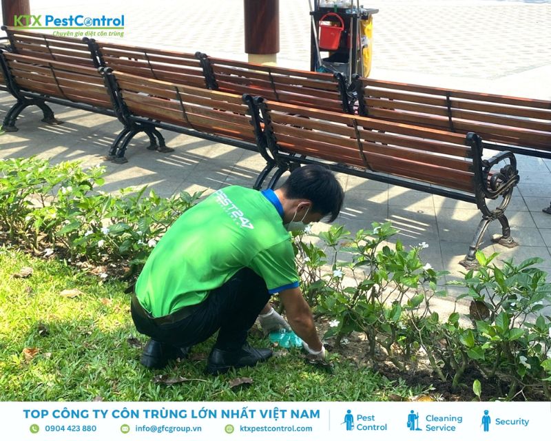 Kỹ thuật viên đang xử lý tổ mối