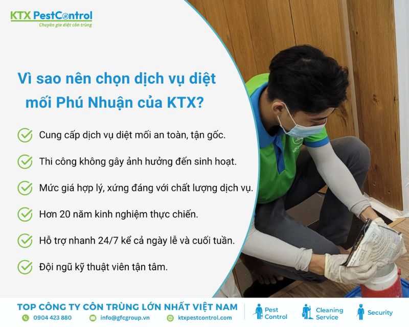 KTX cung cấp dịch vụ diệt mối Phú Nhuận uy tín