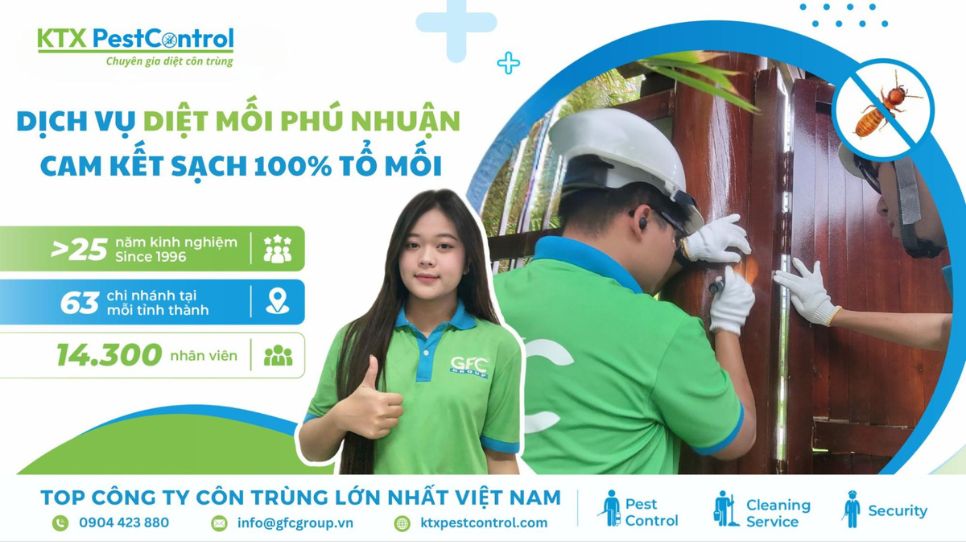 Dịch vụ diệt mối Phú Nhuận cam kết sạch 100% tổ mối