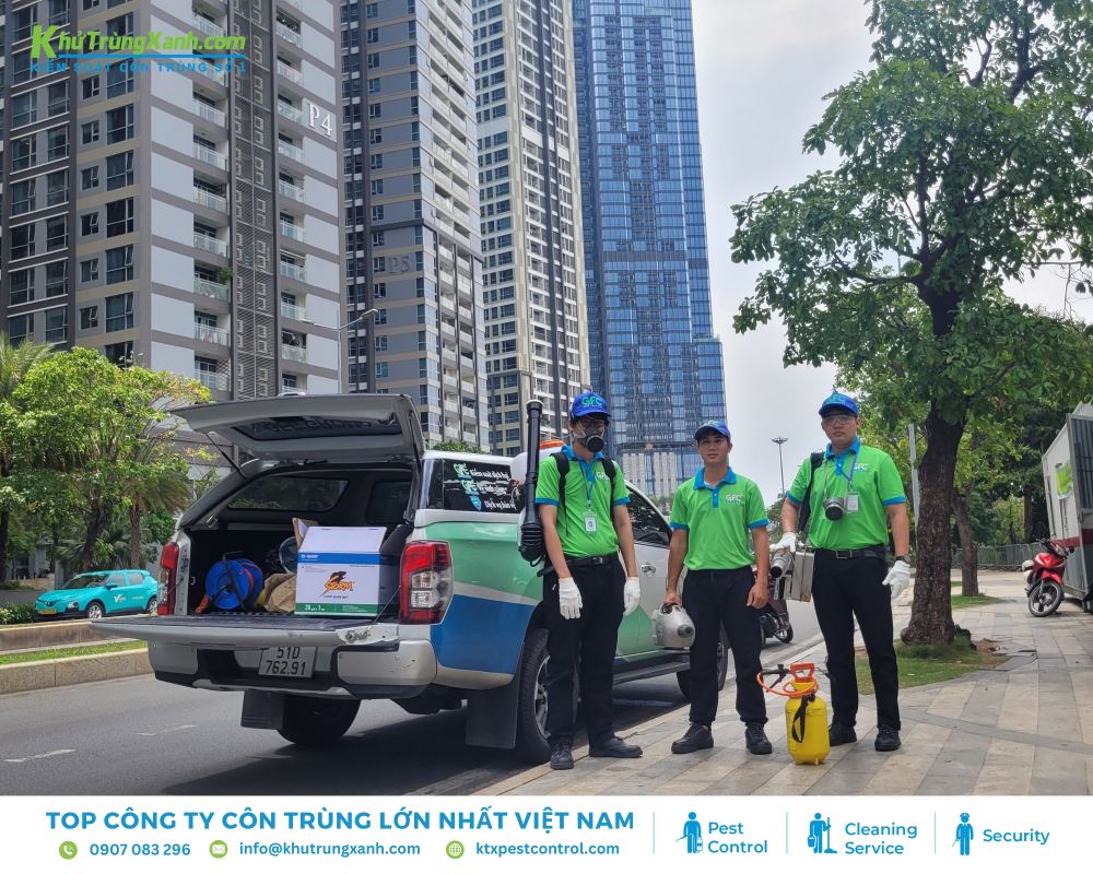Diệt côn trùng KTX cung cấp dịch vụ diệt mối chuyên nghiệp và hiệu quả tại Quận 2