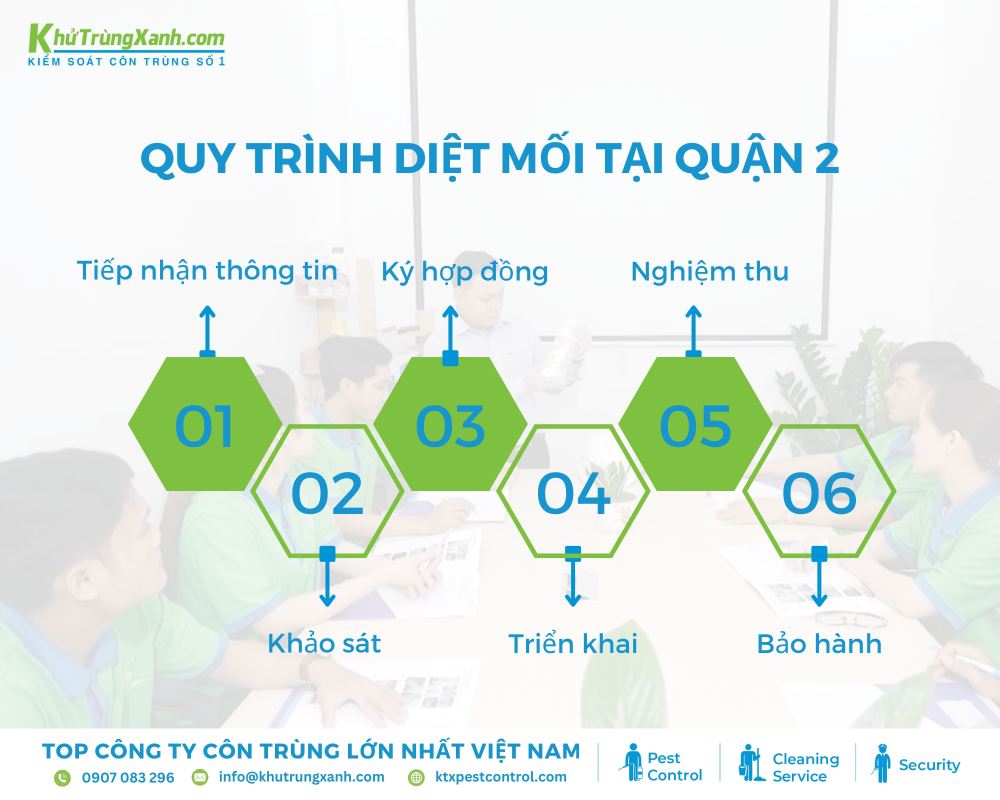 Diệt côn trùng KTX cung cấp quy trình diệt mối Quận 2