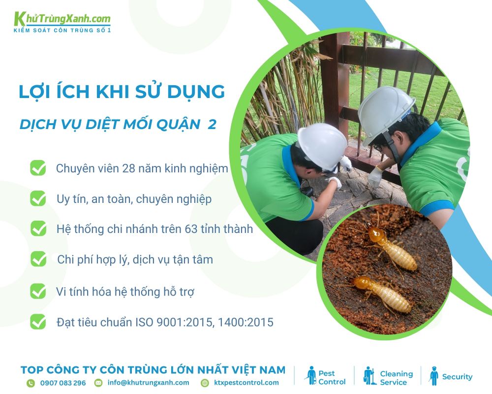  Diệt côn trùng KTX cam kết cung cấp thông tin chi tiết về quy trình và chi phí sau khi thực hiện